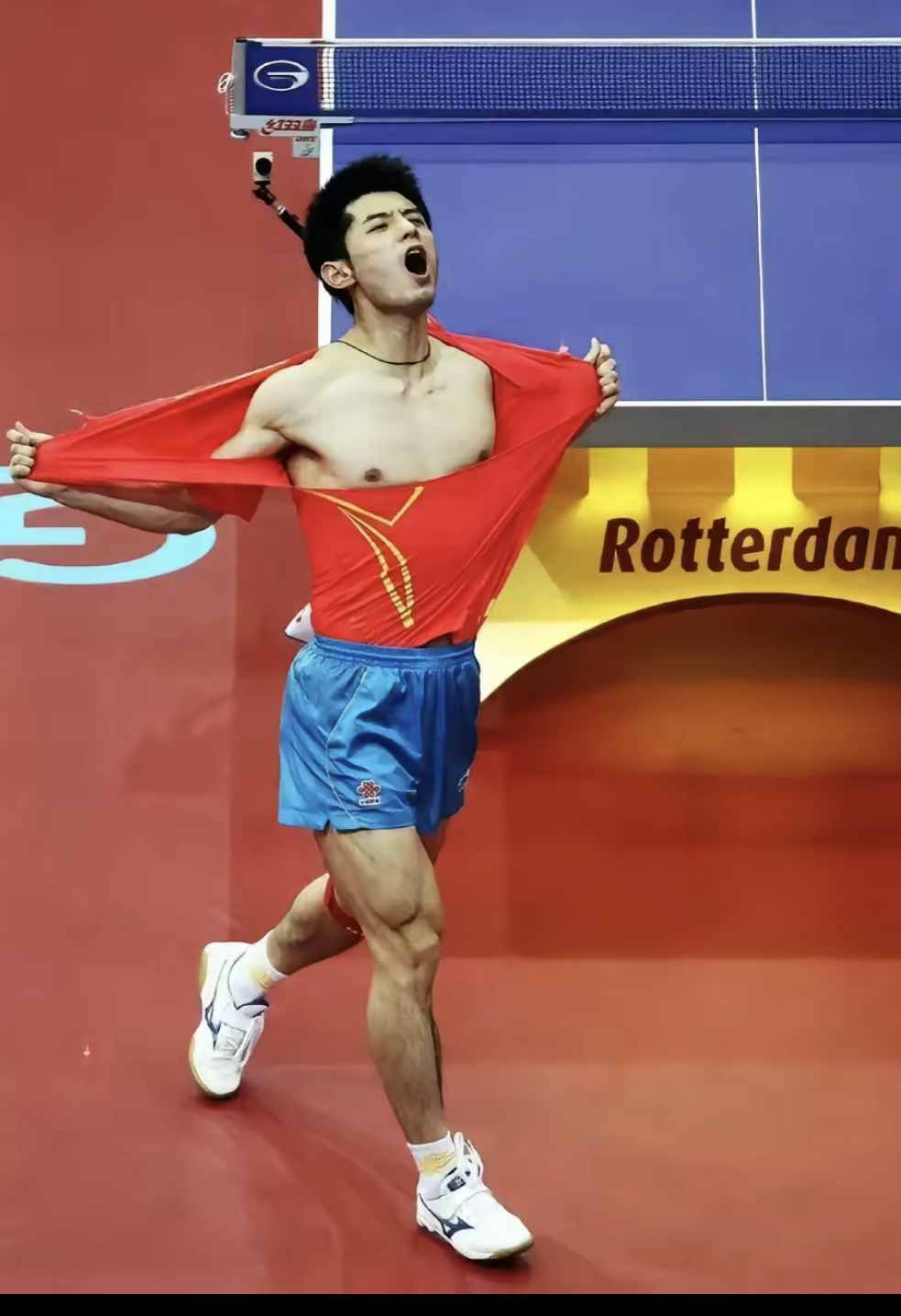 关于中国乒乓球队横扫德国乒乓球队，张继科惊艳世界的信息