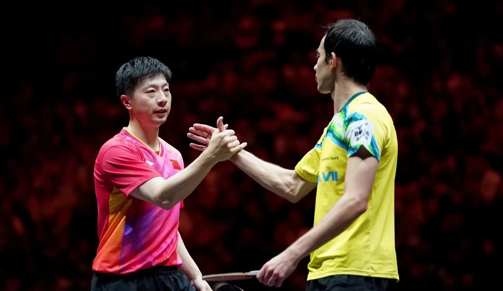 瑞典队鏖战法国队，马龙惊艳四座的简单介绍