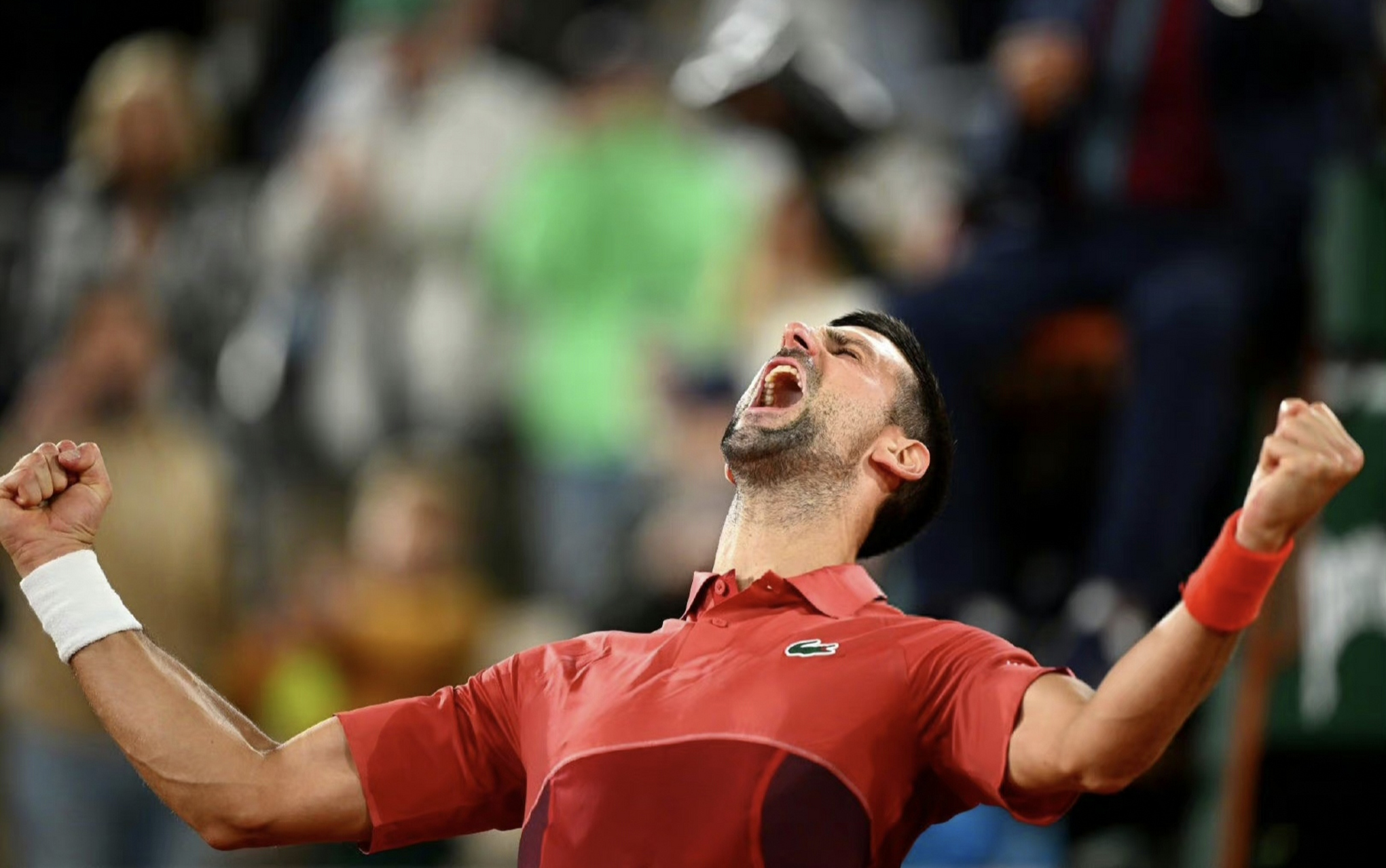 法网碾压戴维斯杯，德约科维奇点燃赛场