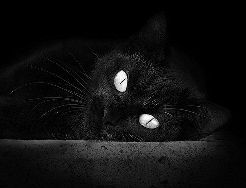 爱游戏大厅-另一种红土，辛纳在蒙特卡洛的荆棘与火焰