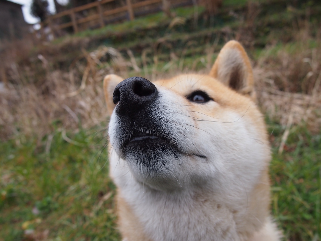 唯一性的见证,塞维利亚绝杀阿根廷与姆巴佩的闪耀时刻