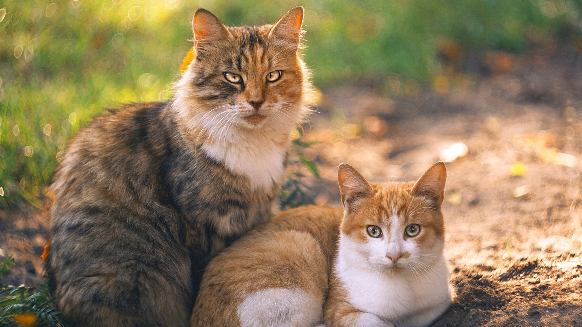梦幻对决，曼联轻取美国全明星，德布劳内统治全场虽败犹荣