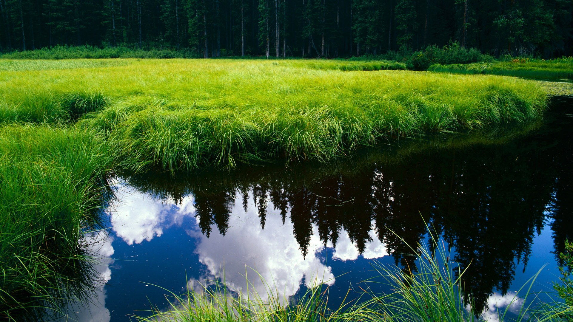 跨界交锋，山西队惊险击败灰熊，德罗赞意甲赛场独揽风云