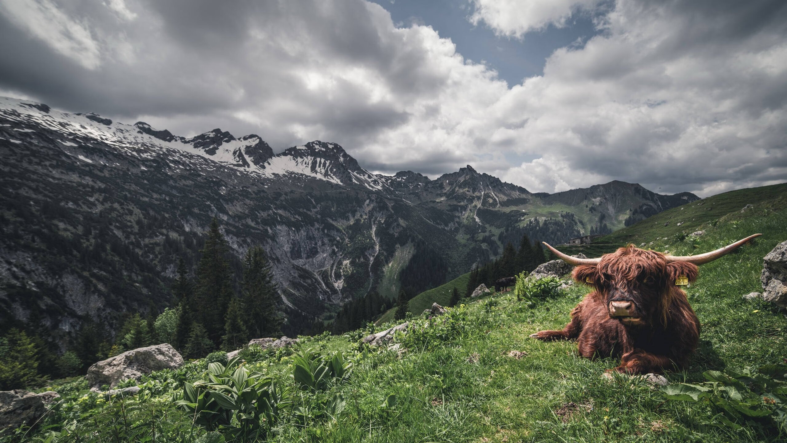 爱游戏下载-大场面基因，当F1收官战的极限操控，遇见德布劳内的致命一传