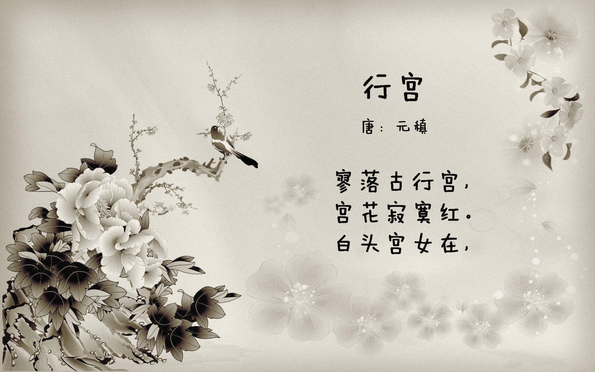 东决关键战之夜,库里如何统治了战场?