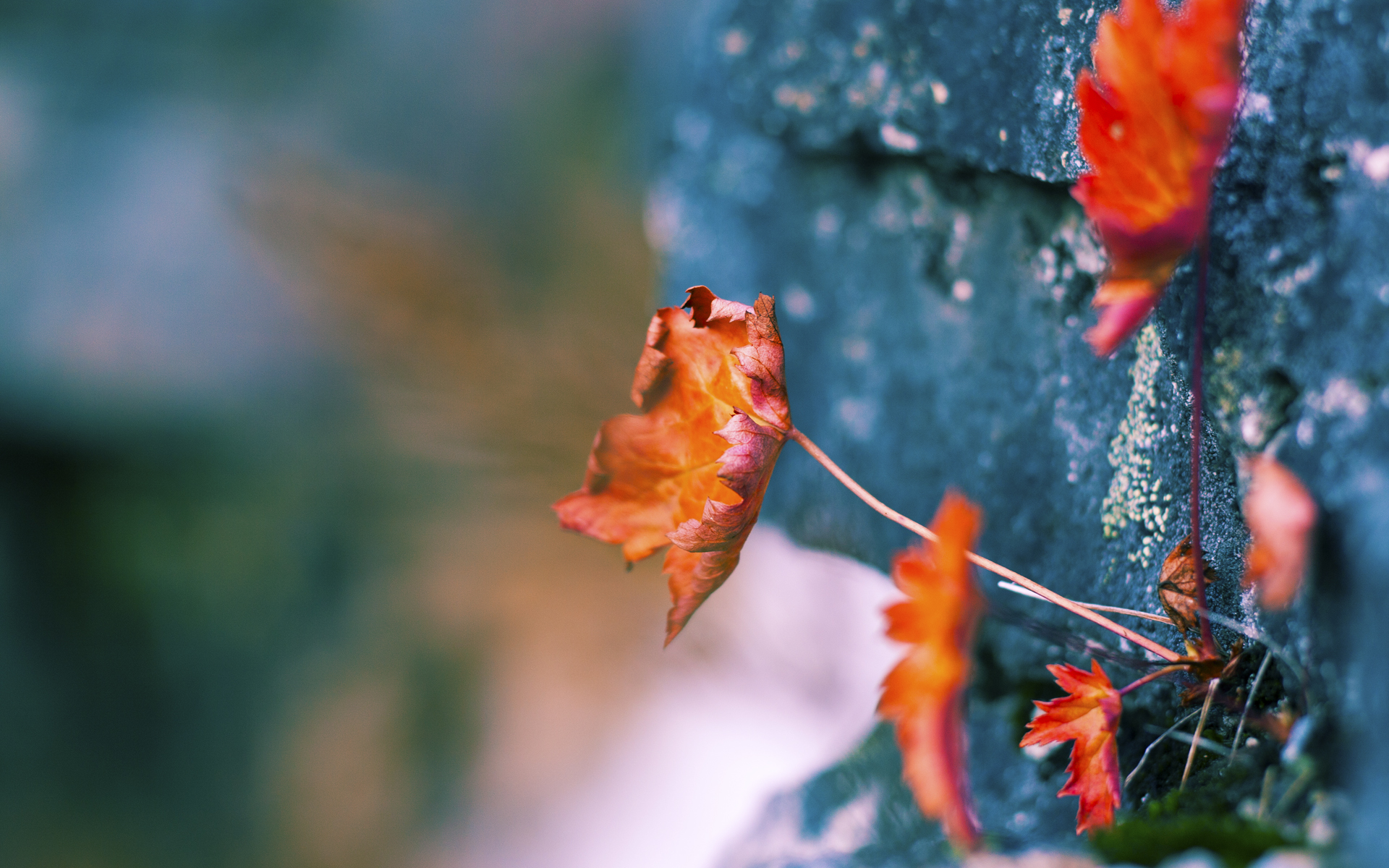 跨界风暴，当英超争冠悬念投射在东方赛场