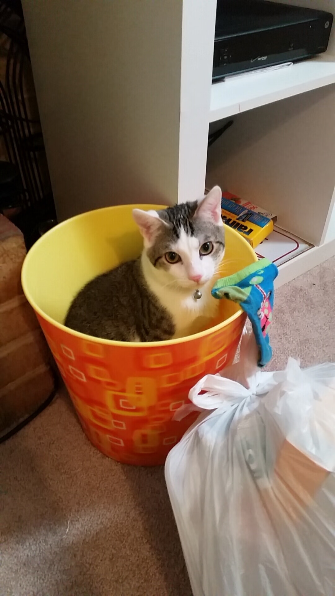 局外人点亮德比之夜,当坎特在伯纳乌绘制冠军地图