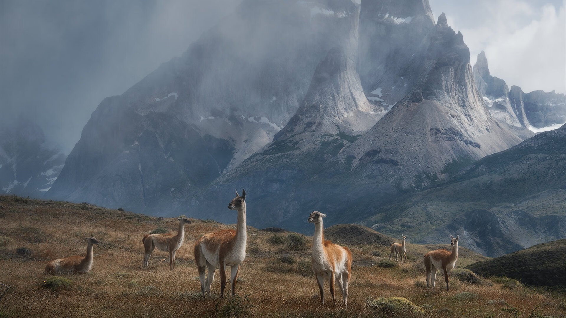 爱游戏大厅-星空剧场的交响乐，加维的华章与英格兰的铁壁