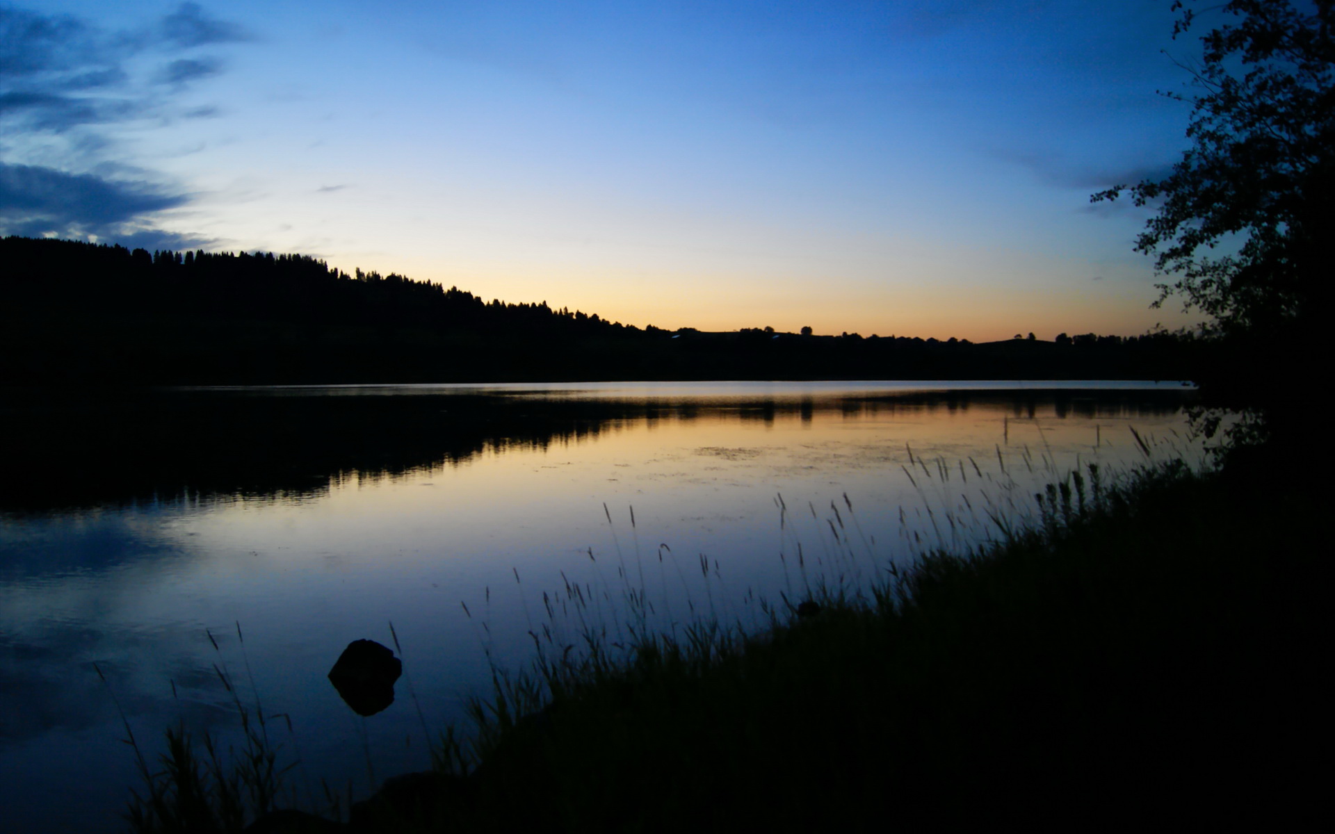 绿白旗帜与方格旗，当板球场的轻取遇见街道赛的接管