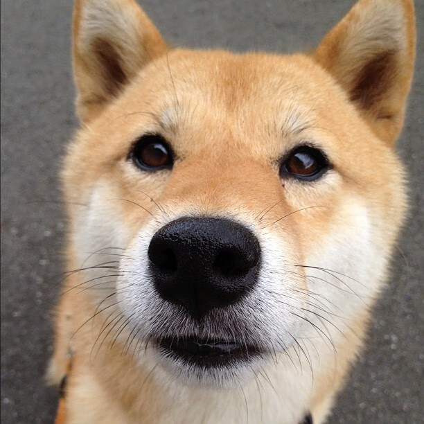 曼城防线告急！孔德单挑三狮军团，英格兰战术碾压蓝月元素