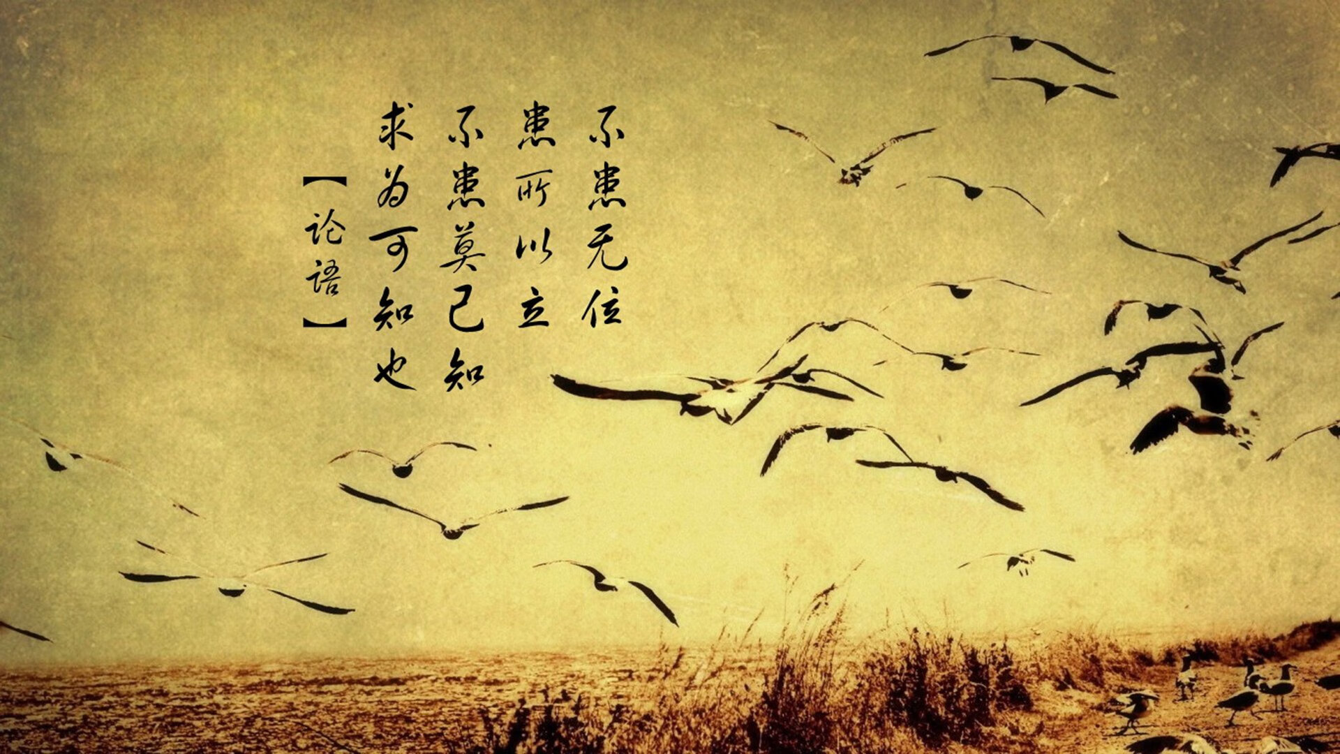 战术交响乐与即兴独奏，当乌拉圭的钢铁合奏遇上内马尔的灵光一现