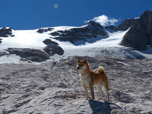 双城记,深圳骑士的绝杀与巴塞罗那的跨界统治