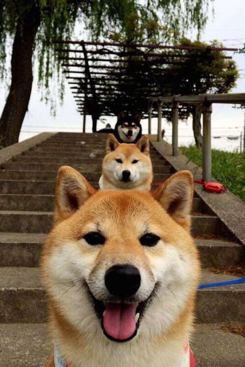 虚拟对阵爆冷!三笘薰压力下爆发,导演国际米兰险胜洪都拉斯之谜