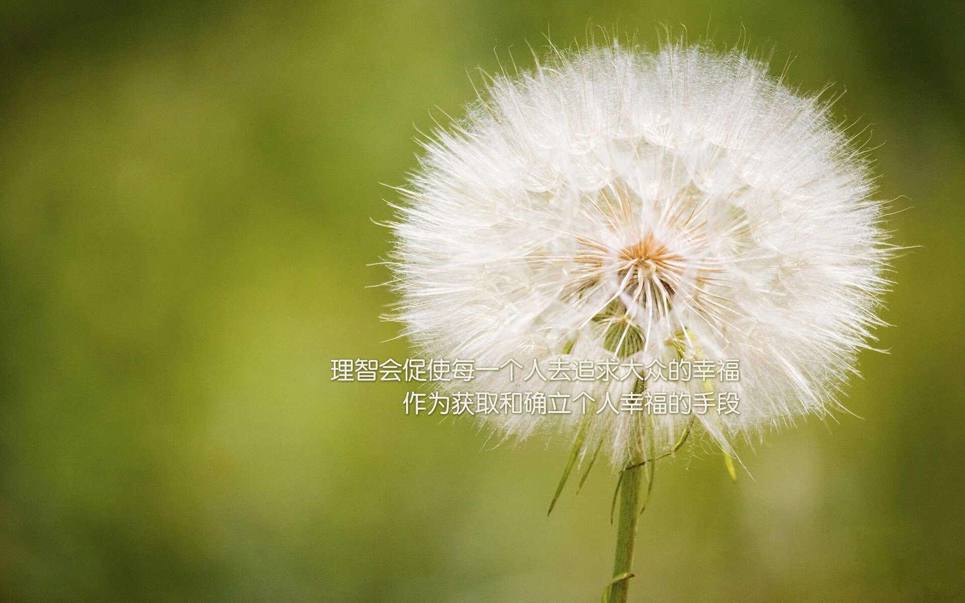 孤勇者的绝唱，2026世界杯D组焦点战，罗马尼亚力克葡萄牙，C罗主导了一场悲壮的告别