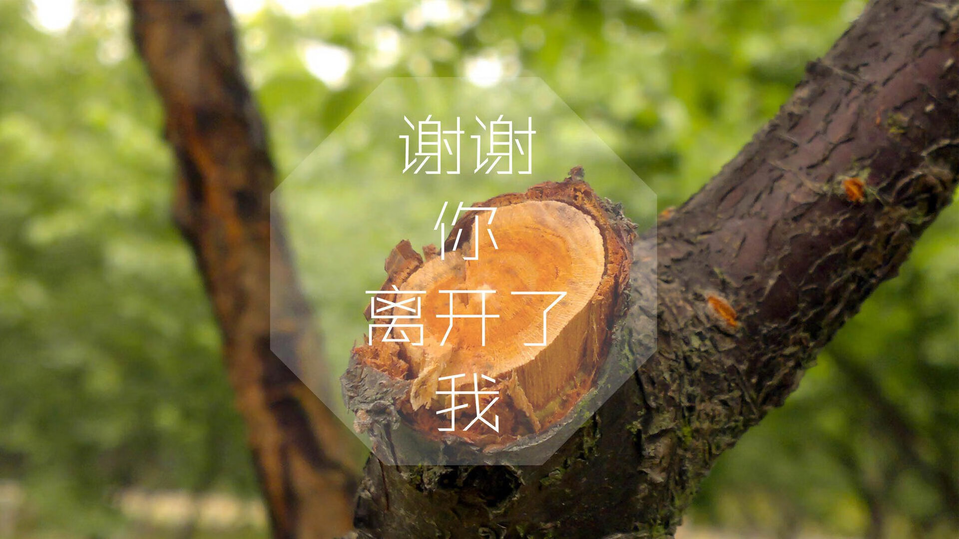 爱游戏入口-这是一篇为您定制的文章，结合了您给出的所有关键词（美加墨世界杯焦点战、突尼斯横扫乌兹别克斯坦、奥斯梅恩表现抢眼、逆转翻盘）并赋予了唯一性的深度与戏剧冲突