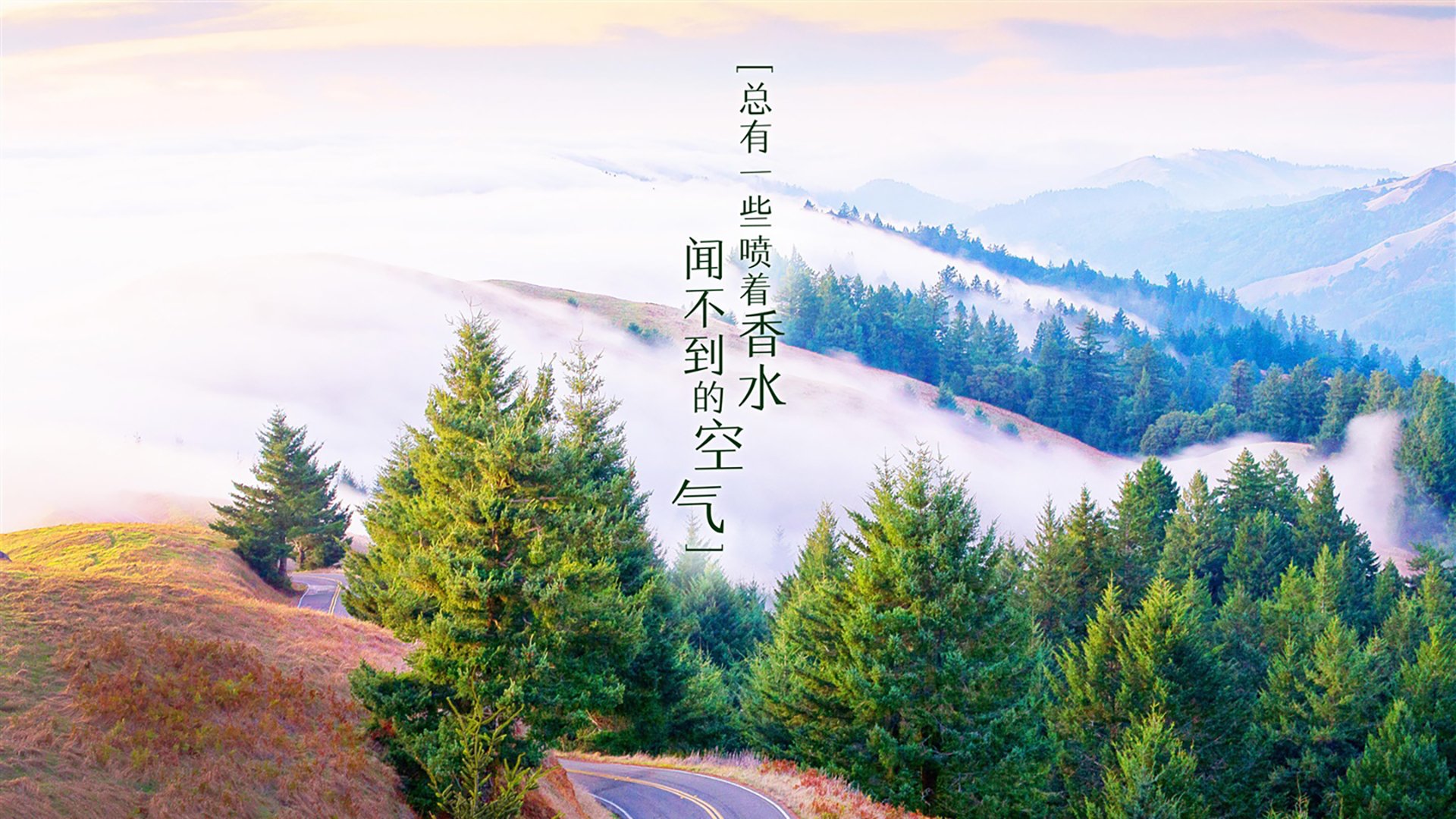 东瀛疾风与北非铁骑,2026半决赛的攻守诗篇,哈基米破茧成蝶