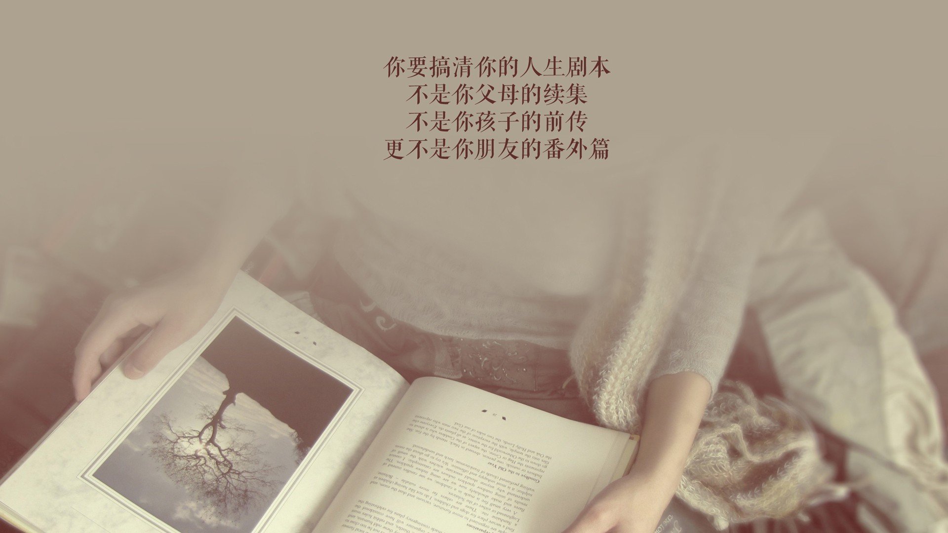 孤星耀世,2026世界杯A组,罗马尼亚大胜印度,福登致命一击引爆进攻狂潮