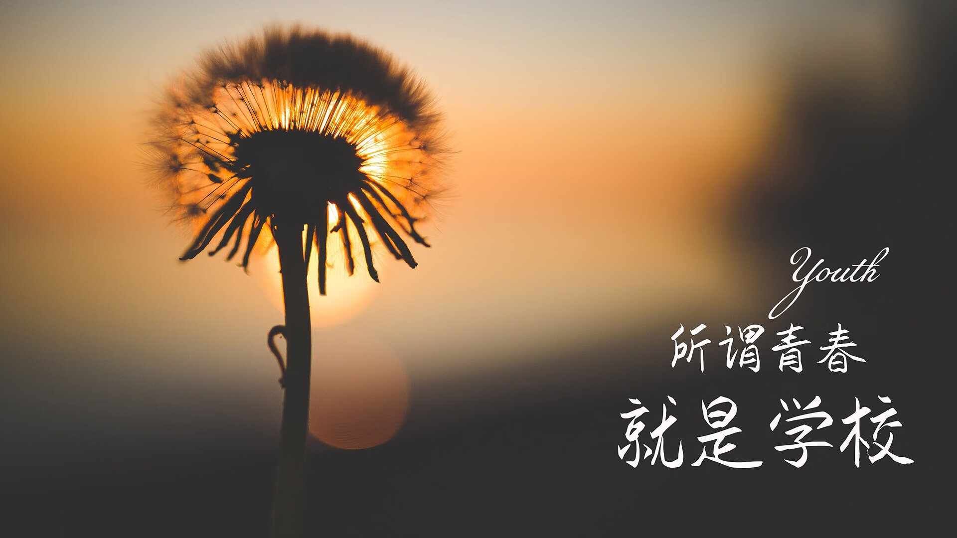 一球定乾坤,2026世界杯F组,比利时钢铁防线压制泰国,阿方索·戴维斯独舞成唯一焦点