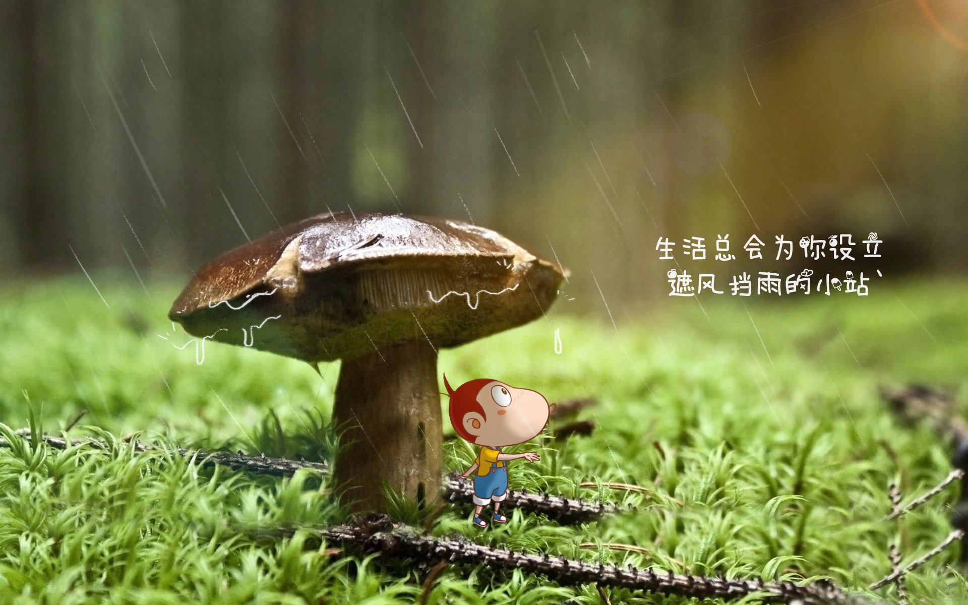 蓝衣军团的宿命轮回，当库尔图瓦的神掌与压哨绝杀，让2026世界杯重演历史的残酷剧本