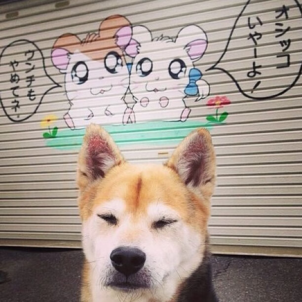 构思(扩展思维)