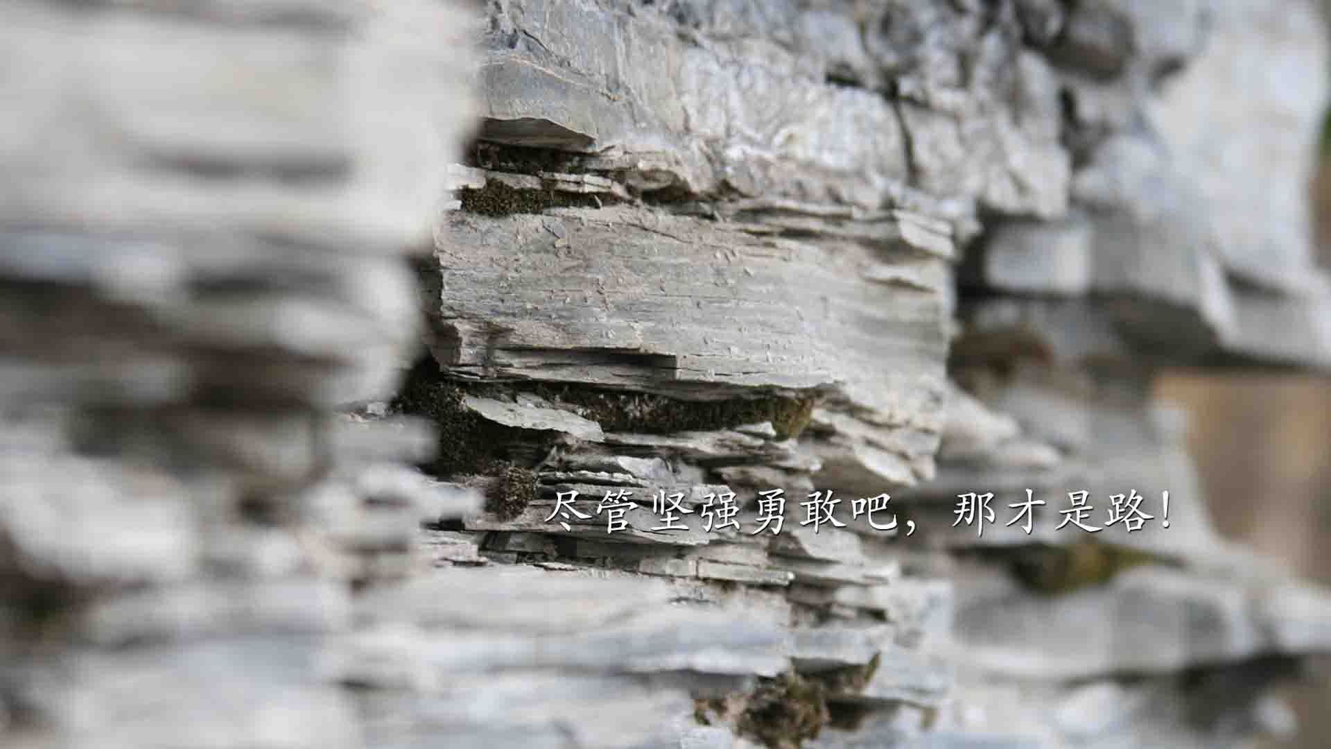 疾风骤雨，唯快不破，拉什福德闪电战撕裂北欧防线，英格兰用节奏定义碾压